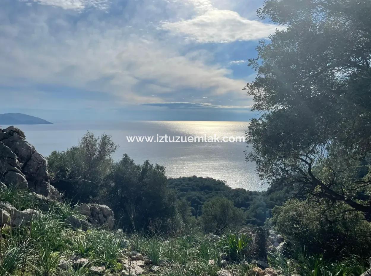 8.900M2 Feld Zum Verkauf Mit Vollem Meerblick In Ekincik