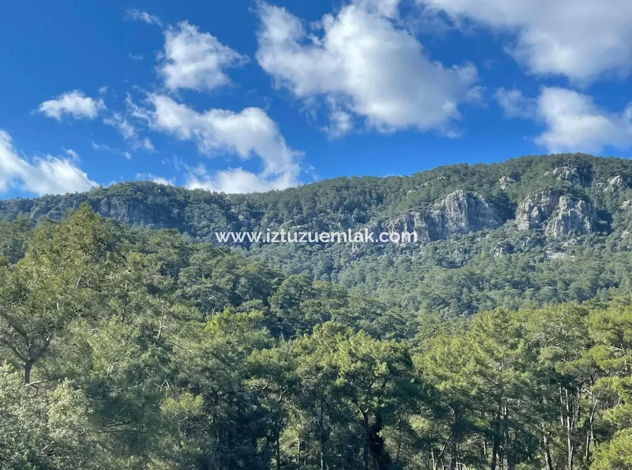 4000M2 Feld Zum Verkauf Mit Seeblick In Çandir