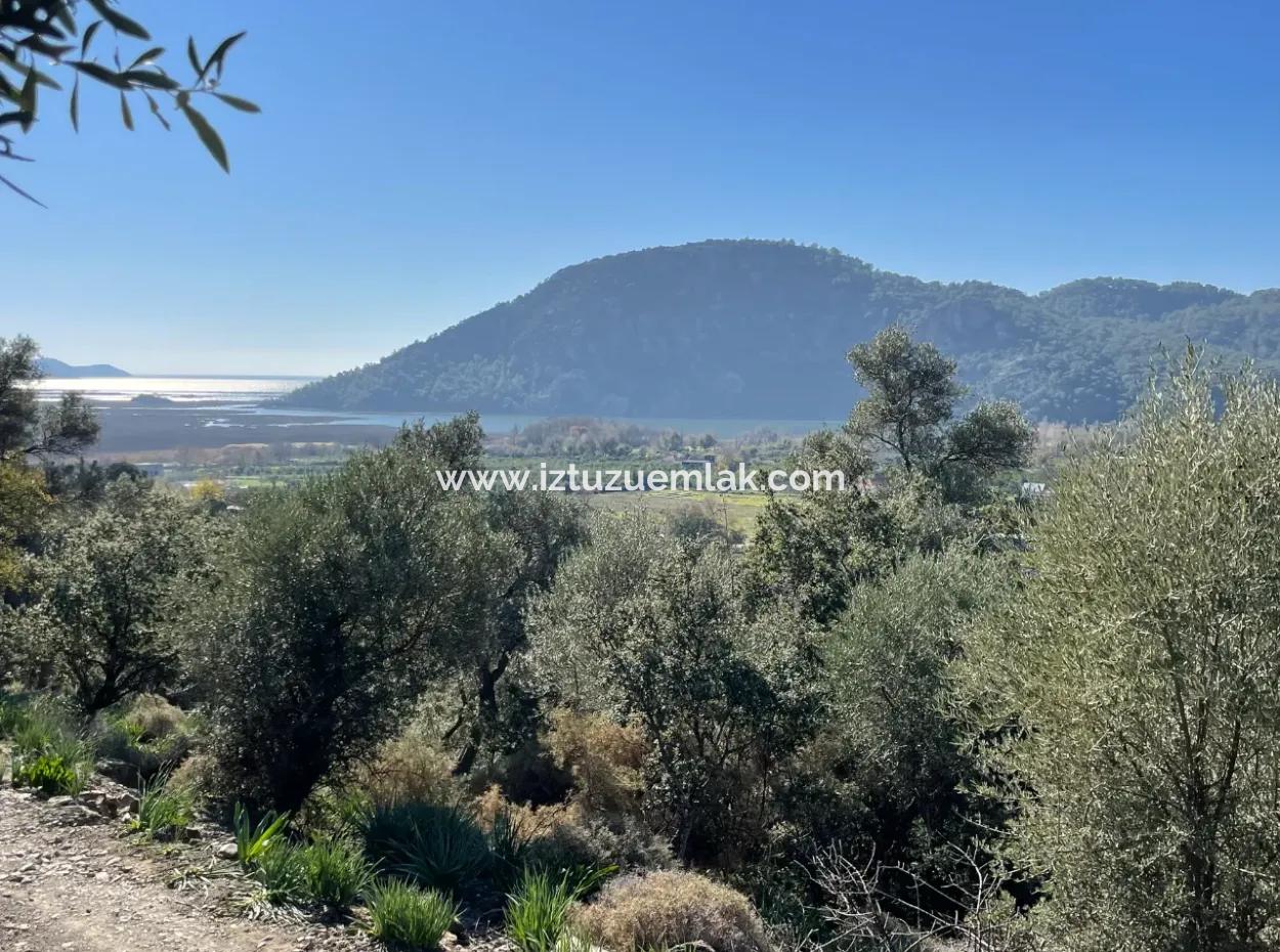 950M2 2B Feld Zum Verkauf Mit Meer- Und Seeblick In Çandır
