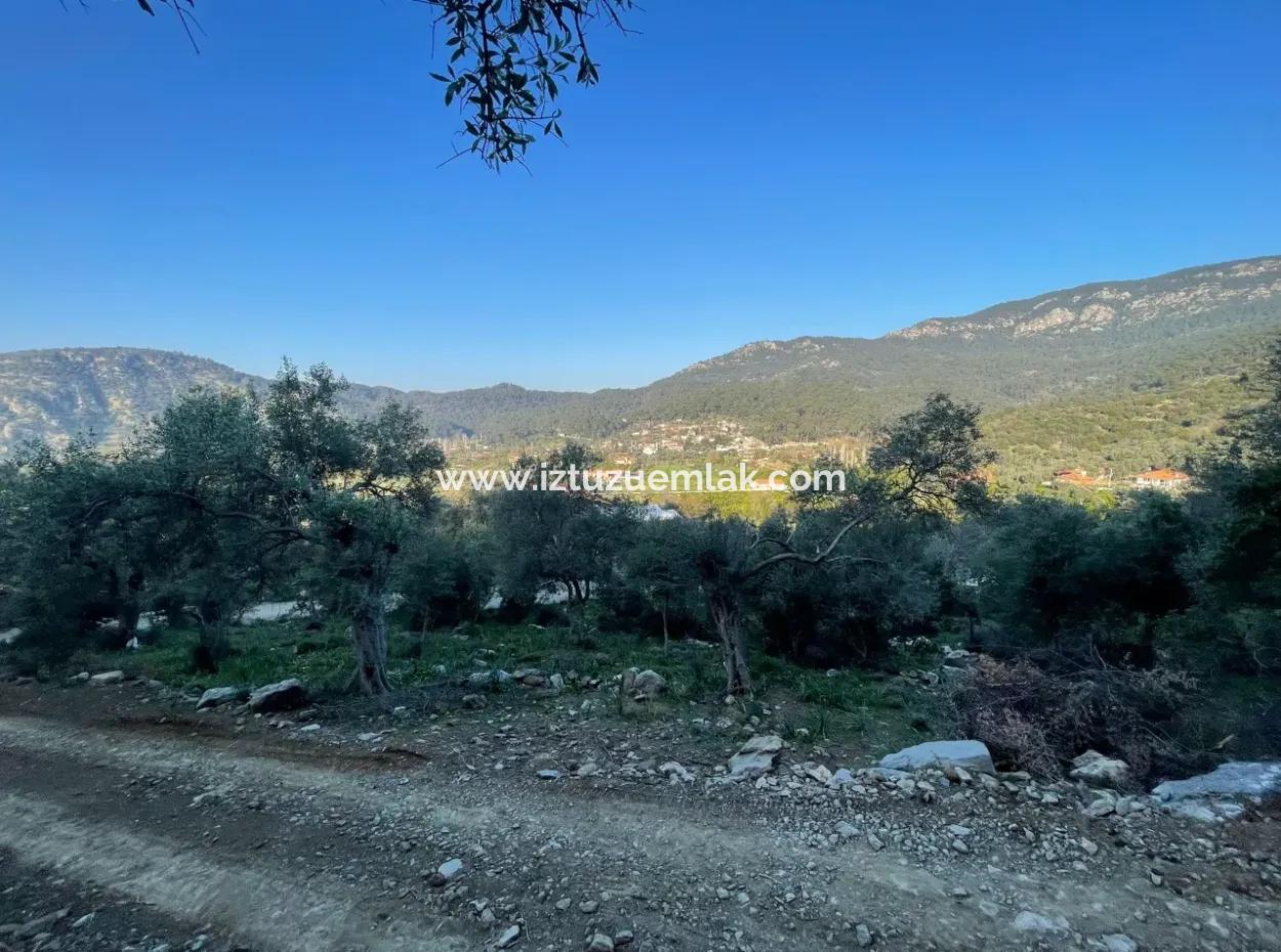 Çandır See Meerblick 2.806M2 2B Feld Zum Verkauf