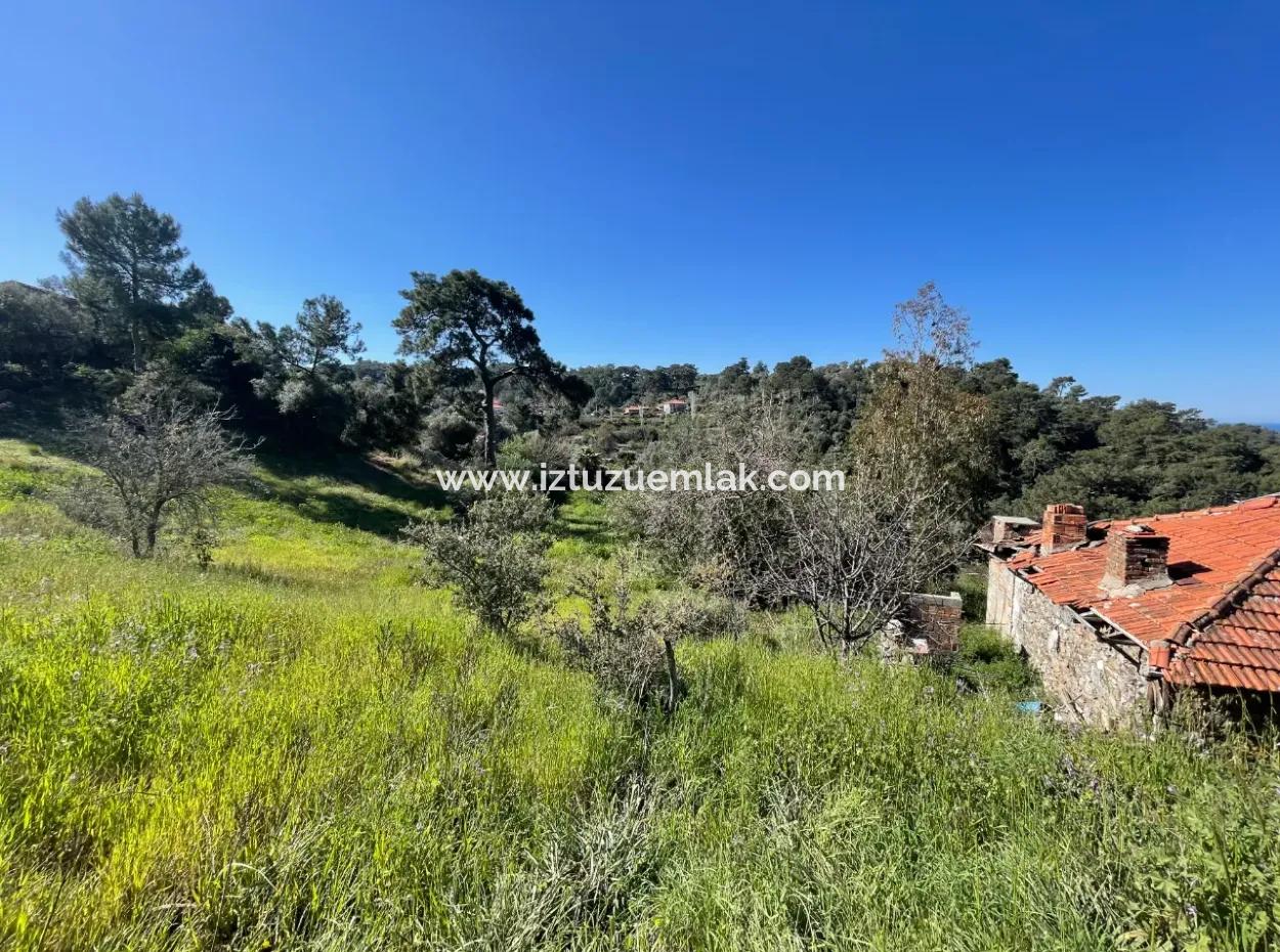 Dorfhaus Zum Verkauf Auf 4.400M2 Grundstück Mit Vollem Meerblick In Gökbel
