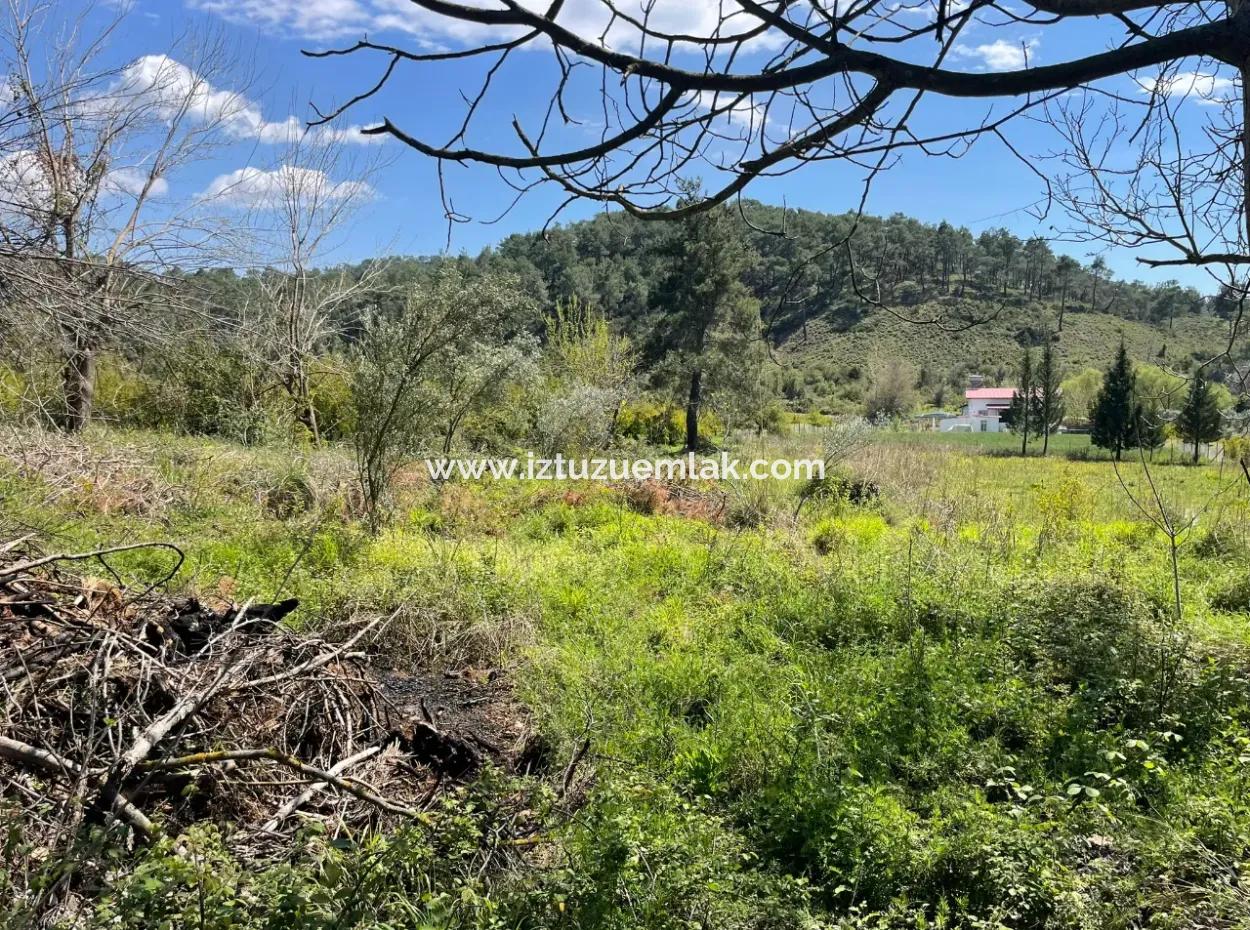 Mehrfamilienhaus Zum Verkauf In 5650M2 Feld In Zeytinalann