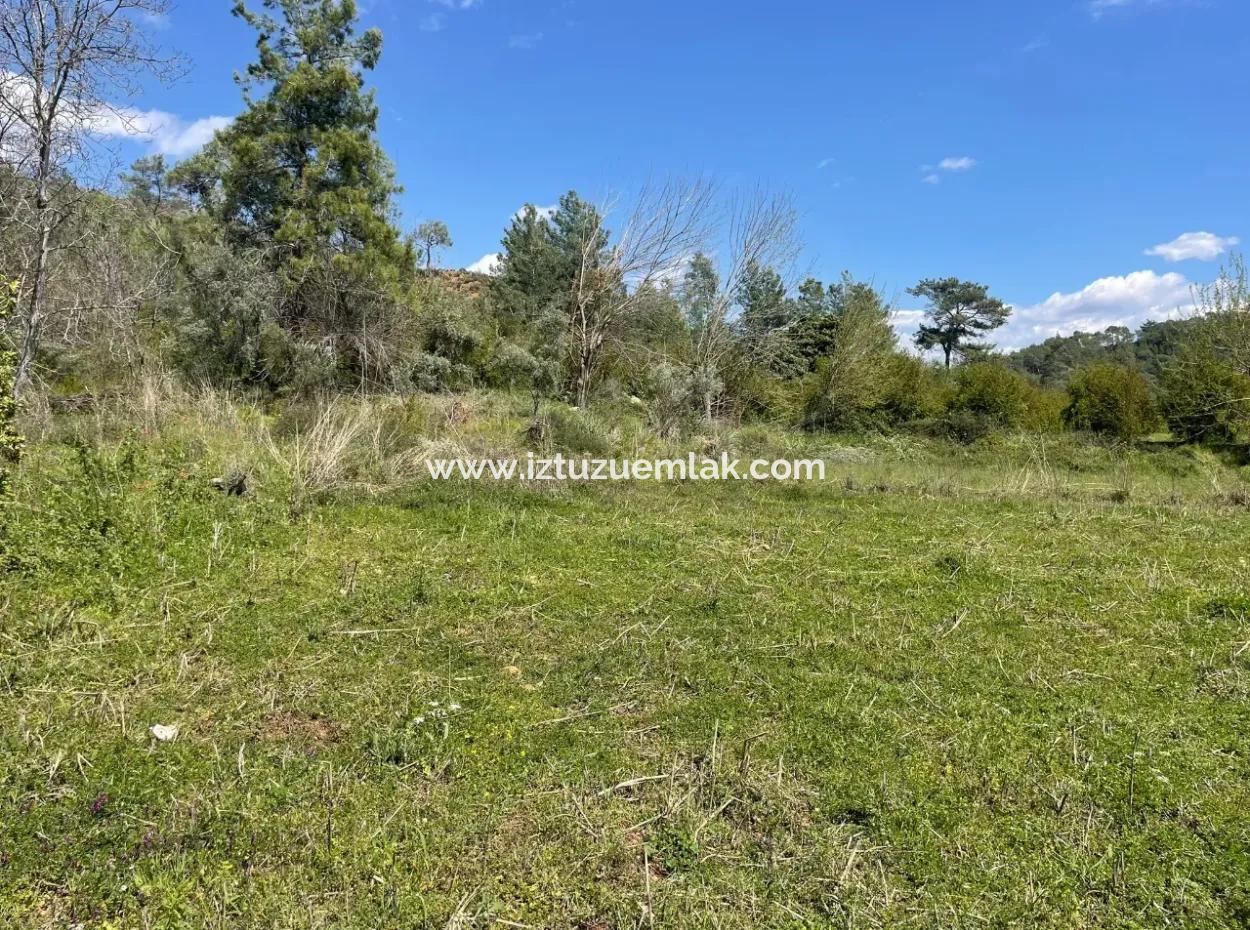 Mehrfamilienhaus Zum Verkauf In 5650M2 Feld In Zeytinalann