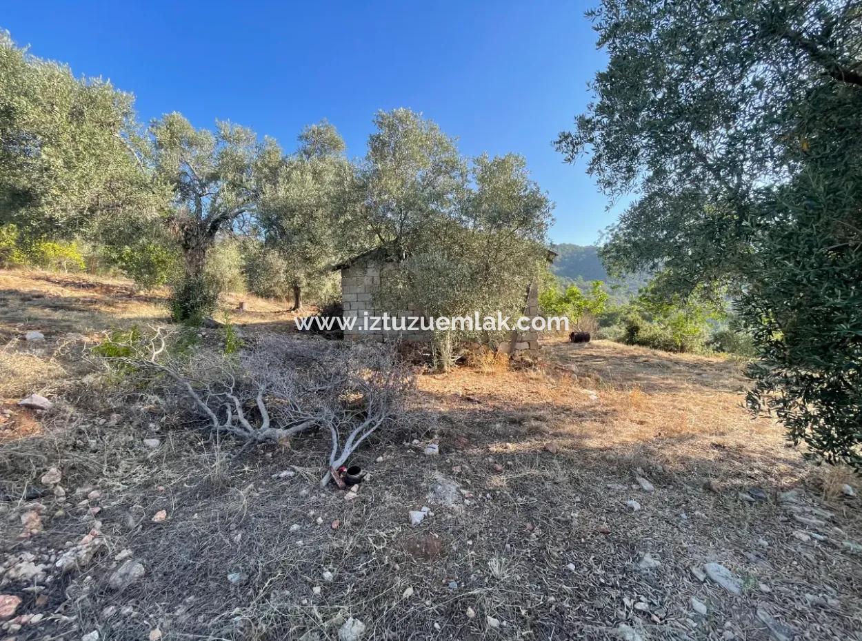 Çandır Voller Meer- Und Seeblick 500M2 2B Feld Zu Verkaufen