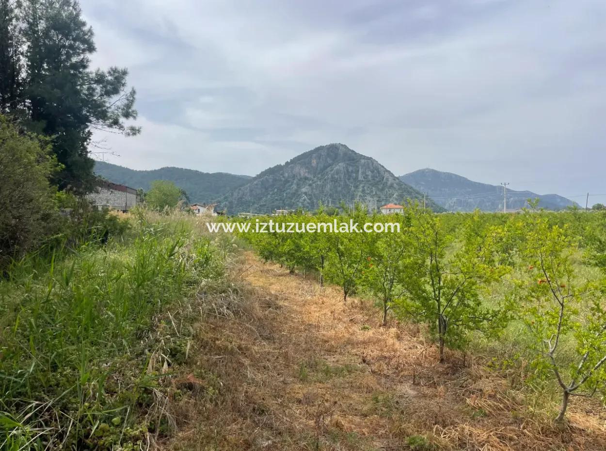 Feld Zu Verkaufen 6500M2 In Dalyan