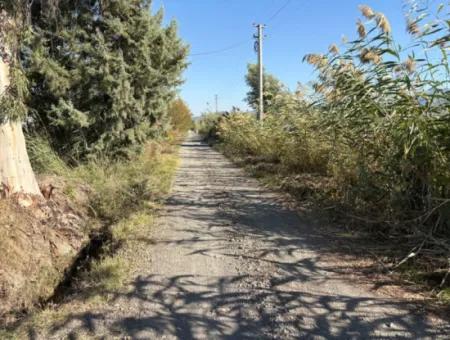 21500M2 Granatapfelgarten Zum Verkauf In Eskiköy