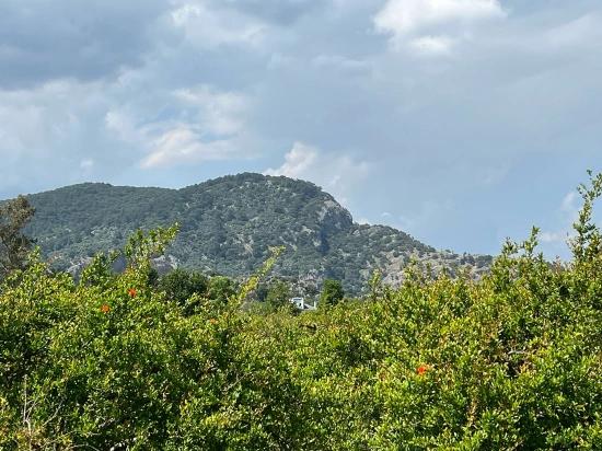 5.100 M² Großes Grundstück In Dalyan, Gebiet Maraş, Zu Verkaufen, Ausgewiesen Für 5% Wohnnutzung.