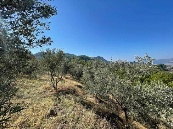 3514 M² Grundstück Zum Verkauf Mit Vollem Meerblick In Gökbel