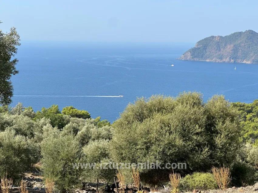 Field For sale in Çandır Nbh. Köyceğiz - Field Zoned - 21.000 m²