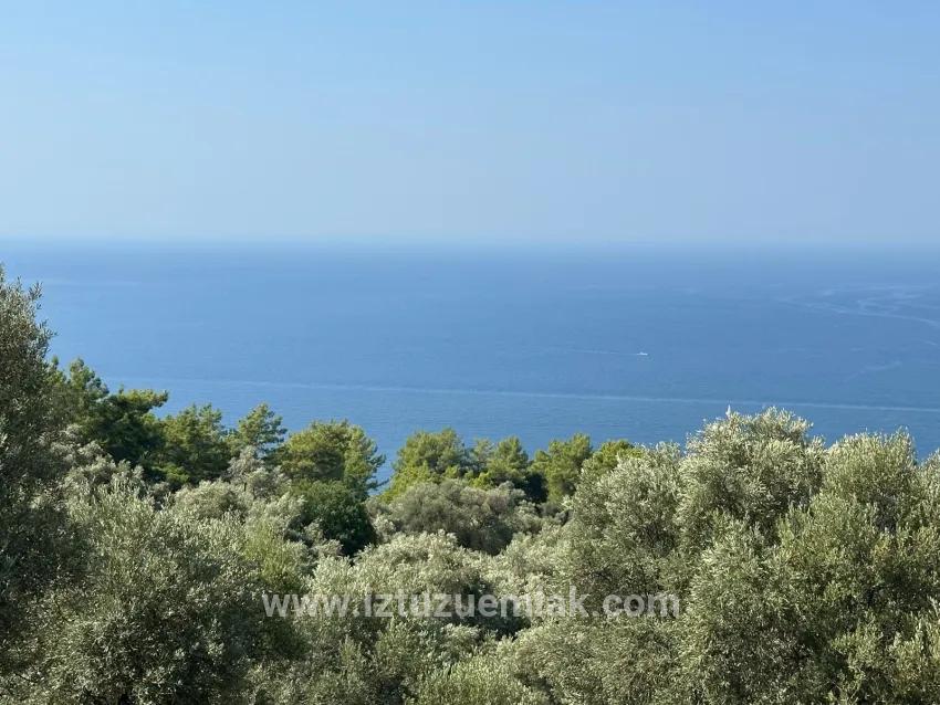 Field For sale in Çandır Nbh. Köyceğiz - Field Zoned - 21.000 m²