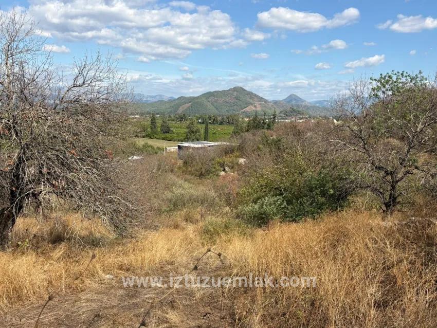 Field For sale in Dalyan Nbh. Ortaca - Field Zoned - 5.000 m²