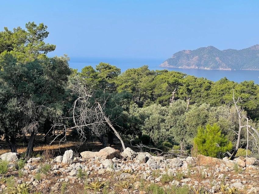 Bargain Real Estate Land For Sale With Sea View In Ekincik Çandır Arasın