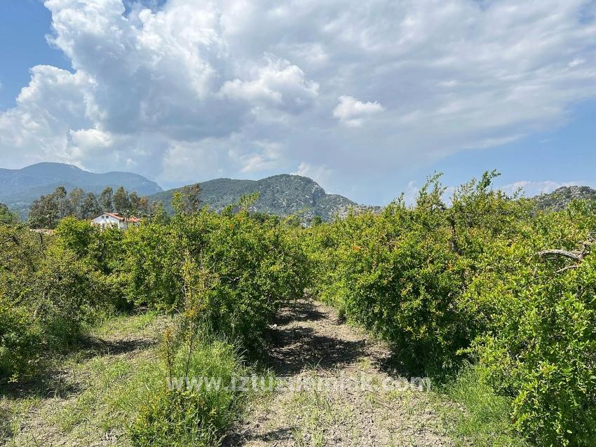 5,100 M² Plot Of Land For Sale In Dalyan, Maraş Area, Zoned For 5% Residential Use.