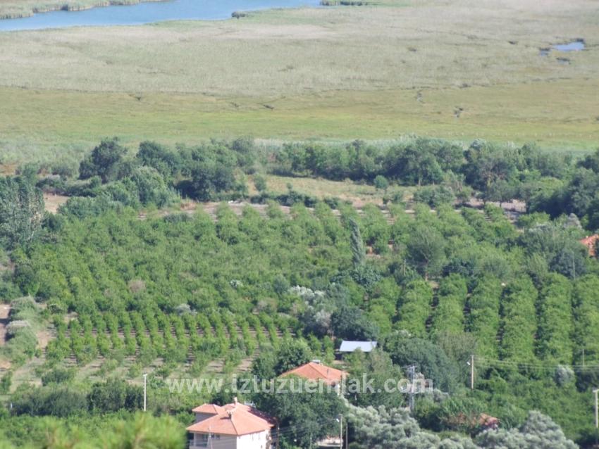 19,334 M² Plot Of Land For Sale In Çandır, Köyceğiz.