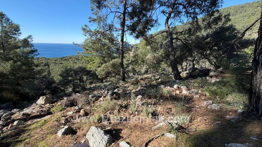 2b Field Of 5715m2 For Sale With Full Sea View In Çandır
