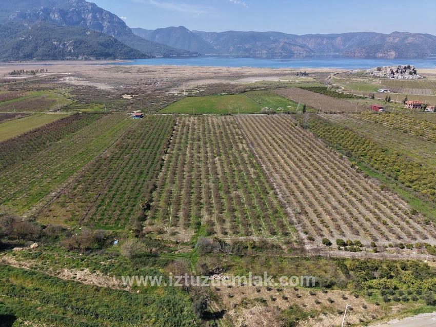Field For sale in Eskiköy Nbh. Ortaca - Field Zoned - 16.710 m²