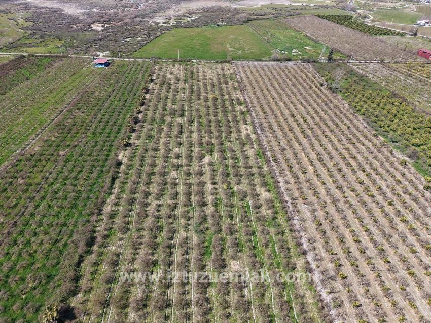 16.710m2 Pomegranate Garden For Sale With Lake View In Eskiköy