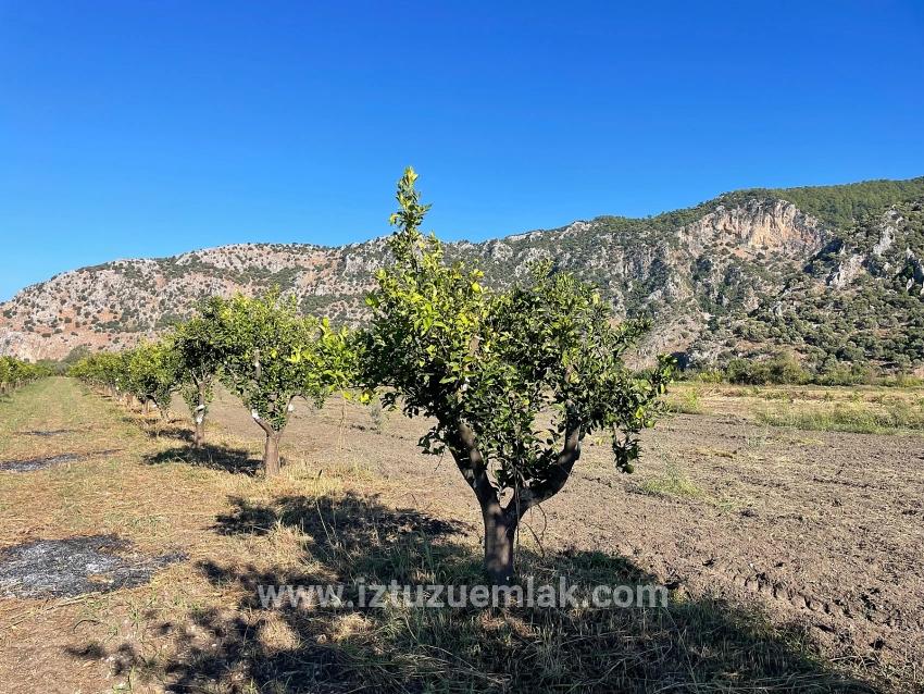 6600m2 Plot Of Land For Sale Near The Center Of Dalyan.