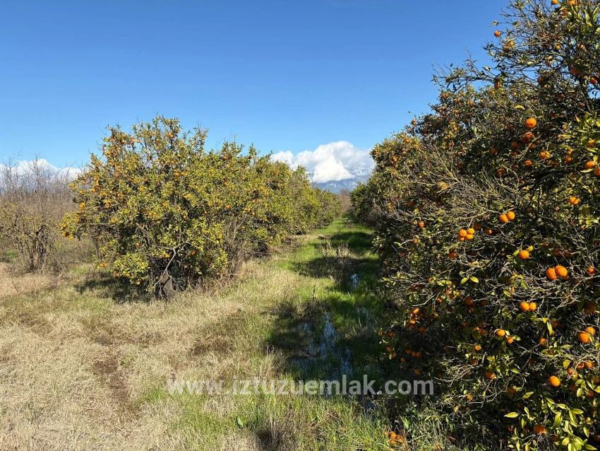 23,000 M² Detached Land For Sale In Tepearası.