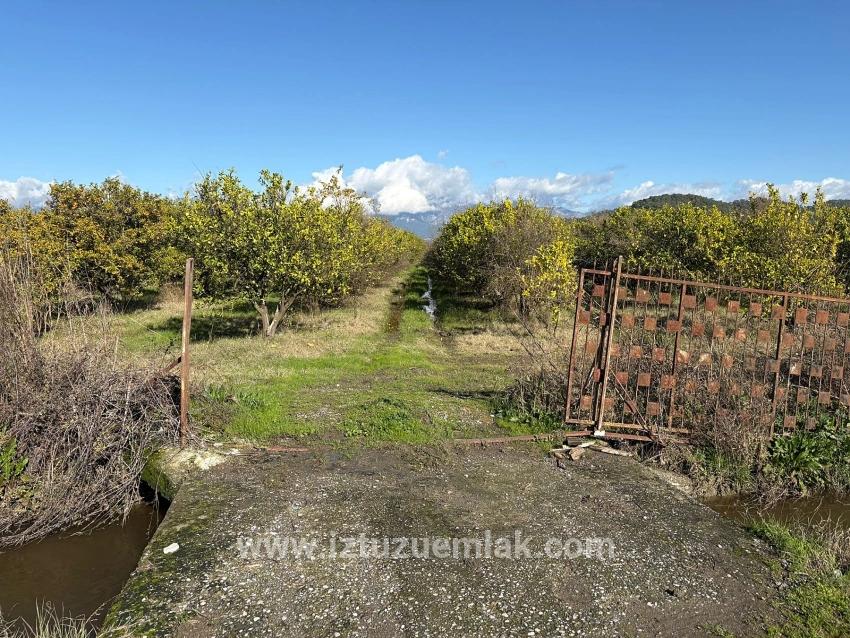 23,000 M² Detached Land For Sale In Tepearası.