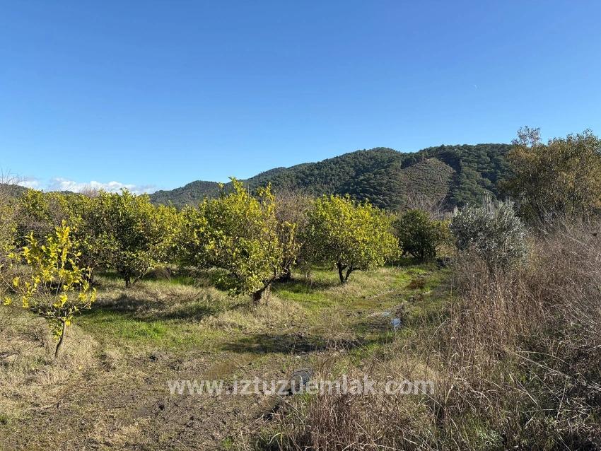 23,000 M² Detached Land For Sale In Tepearası.