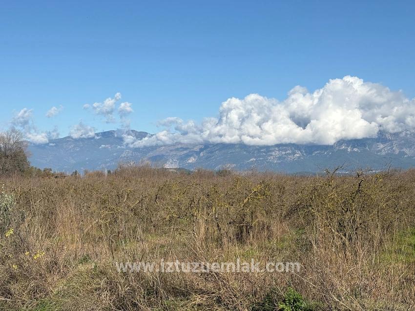 23,000 M² Detached Land For Sale In Tepearası.