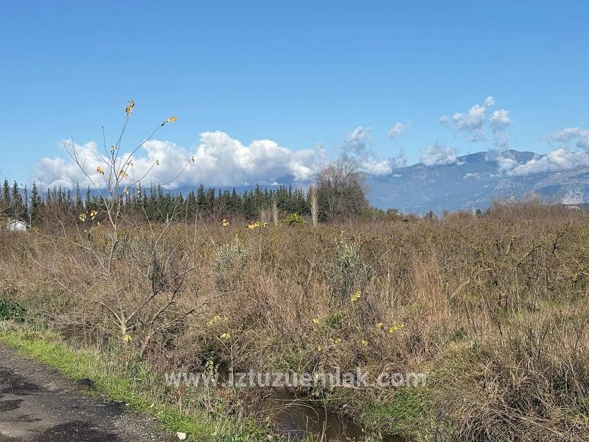 23,000 M² Detached Land For Sale In Tepearası.