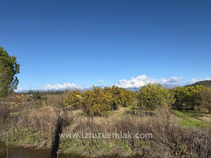 23,000 M² Detached Land For Sale In Tepearası.
