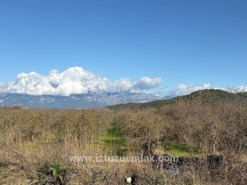 23,000 M² Detached Land For Sale In Tepearası.