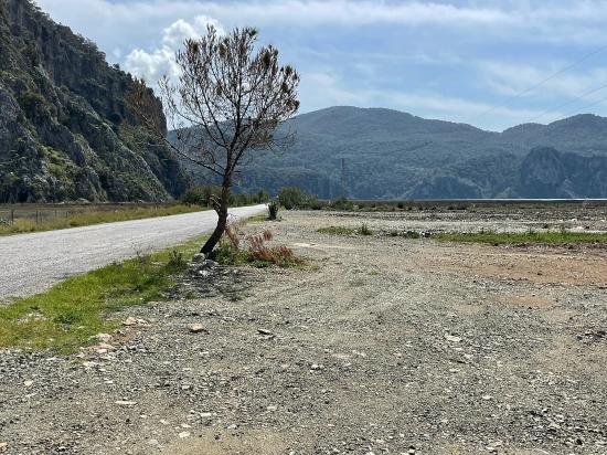 19,600 M² Plot Of Land For Sale, Located Directly On The Road To Dalyan Iztuzu Beach.