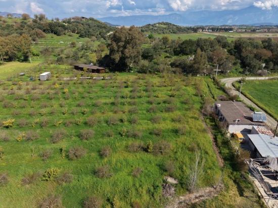 Tourism-oriented Business For Sale On An 11,000 M2 Plot Of Land In Eskiköy.