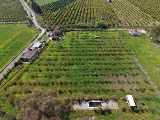 Tourism-oriented Business For Sale On An 11,000 M2 Plot Of Land In Eskiköy.