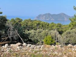 Field For sale in Çandır Nbh. Köyceğiz - Housing Zoned - 10.481 m²