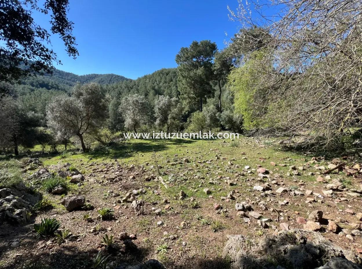 Land For Sale In Nature And Forest In Gökbel