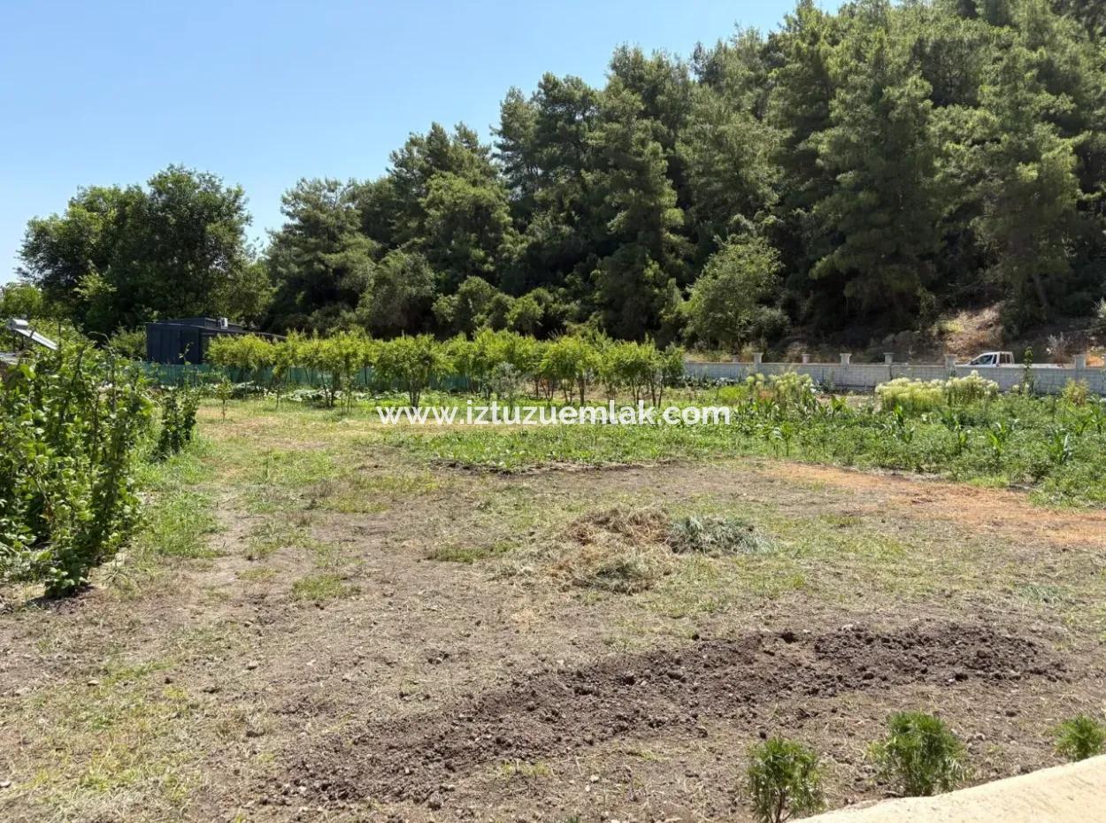 120M2 Detached Wooden House In A 2500M2 Field In Dalyan Karadağ