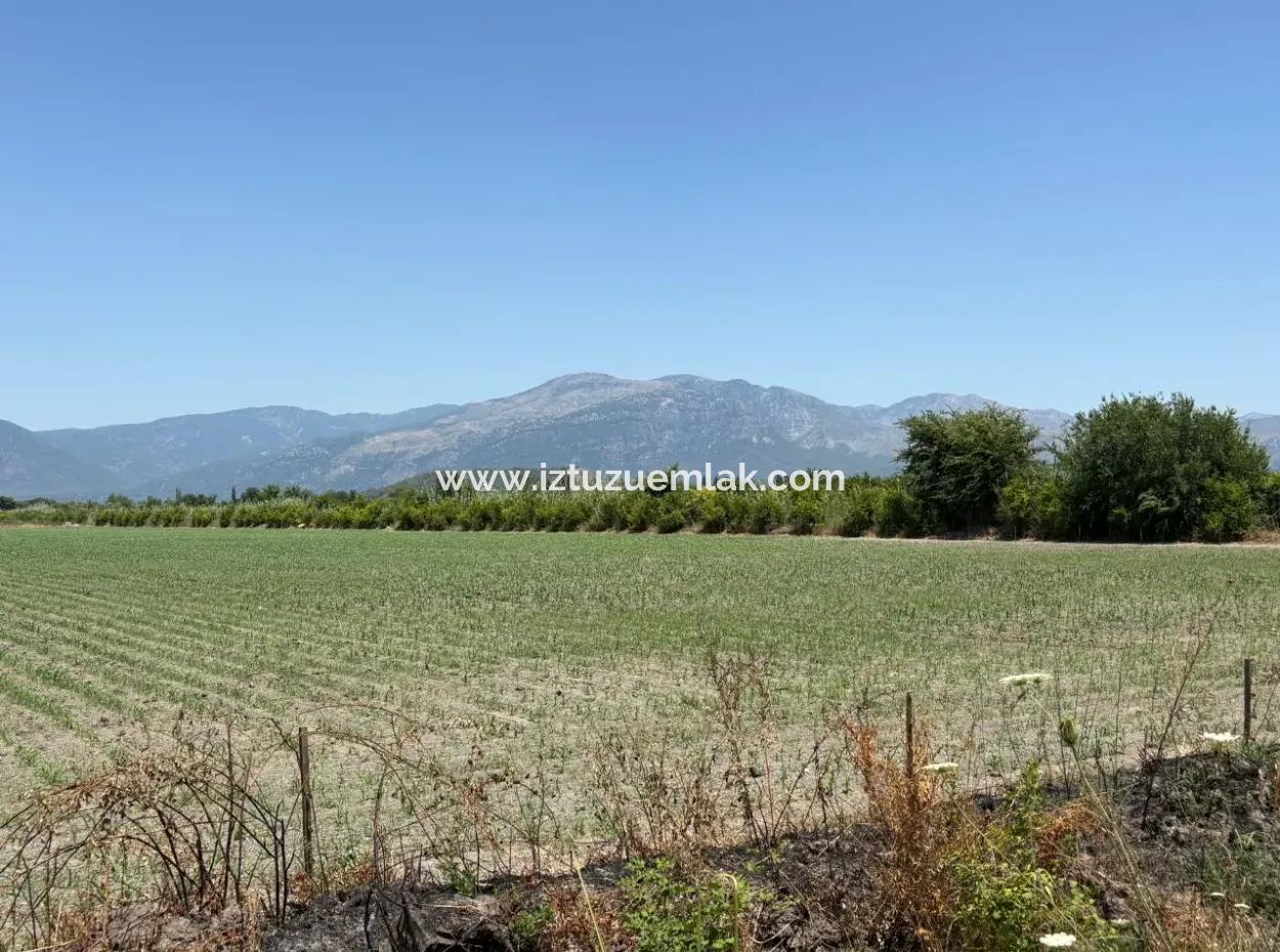 46,550M2 Land For Sale In Tepearası
