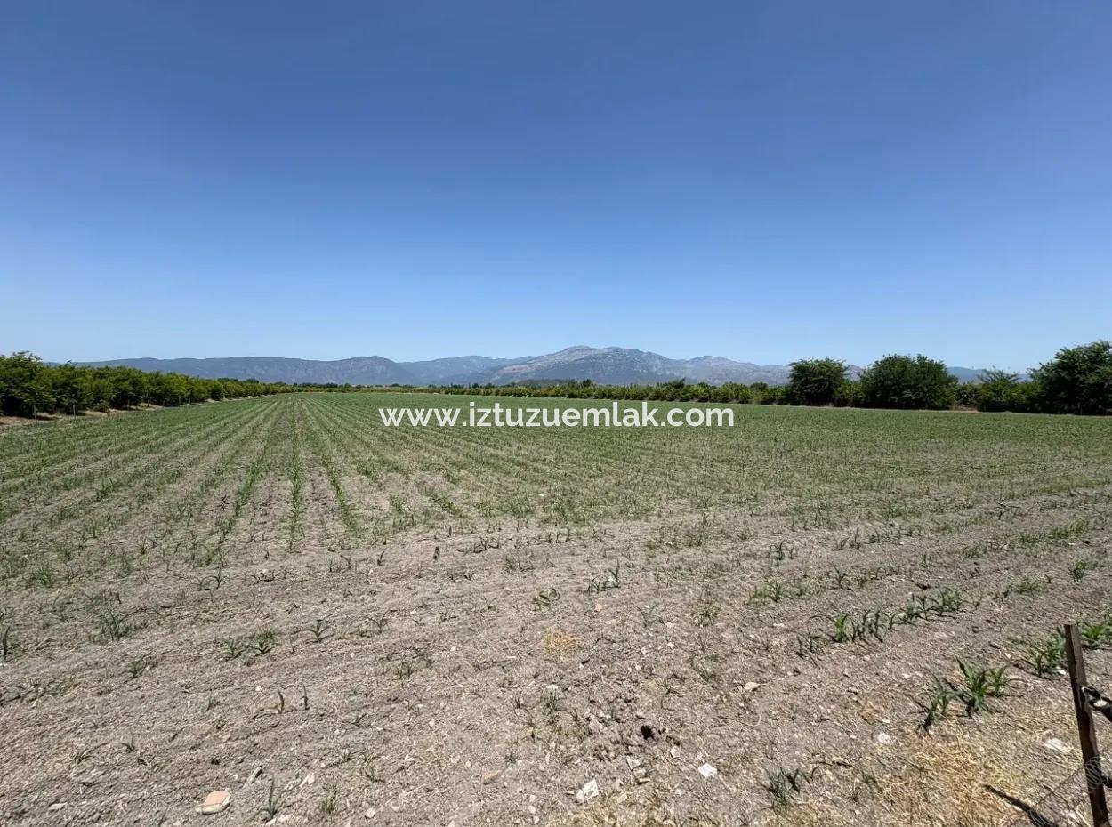 46,550M2 Land For Sale In Tepearası
