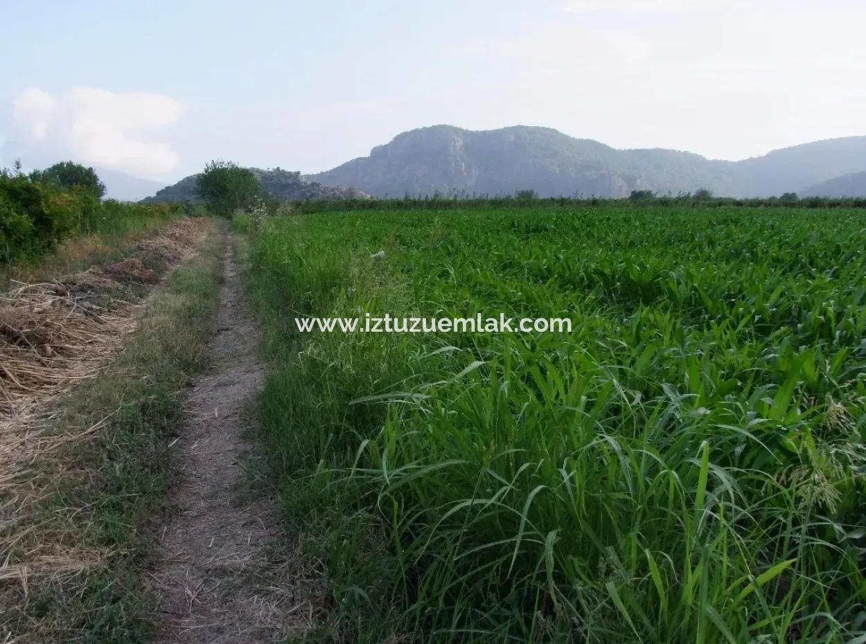 Farm For Sale Near The Centre Of Dalyan,14, 612M2 Farm For Sale