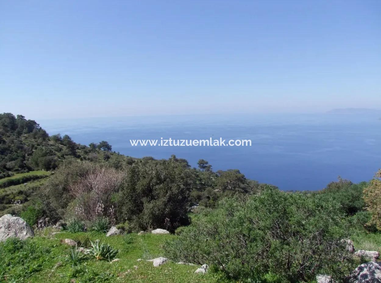 For Sale In Faralya Faralya With Sea View And 11,286M2 Land For Sale Tourism