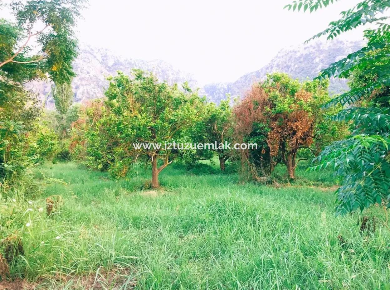 Archer In The Archers Plot For Sale For Sale In Marmarli 1,500M2 Plot For Sale