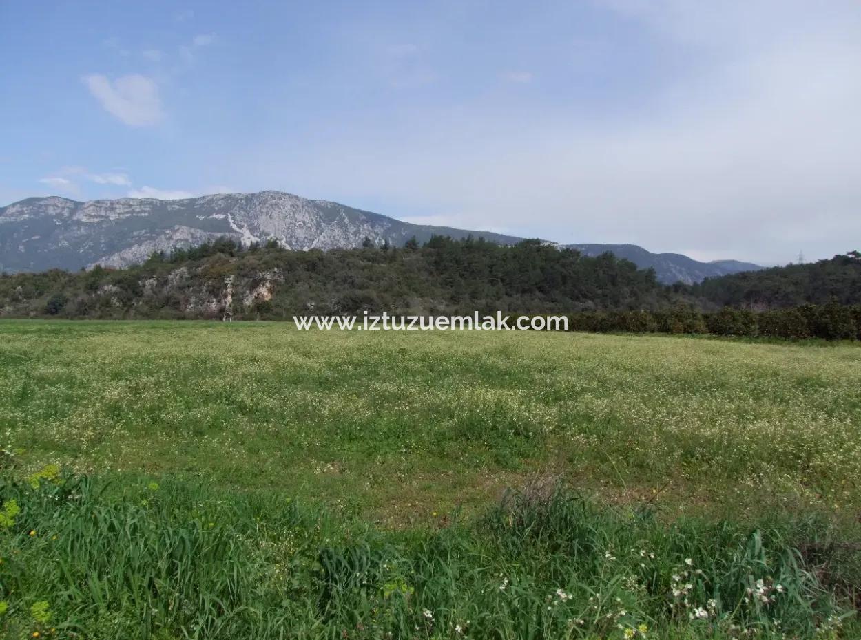 In Akyaka For Sale: Land For Sale Farm For Sale A Farm Near The Sea Of Ars, Yatirimlik 21625M2