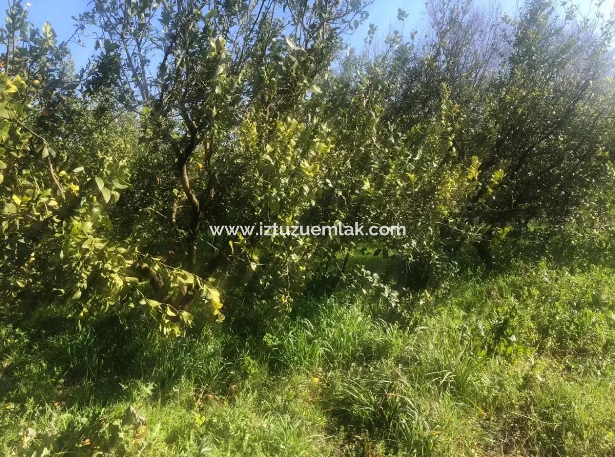 Raiders 803M2 Land For Sale In Plot For Sale