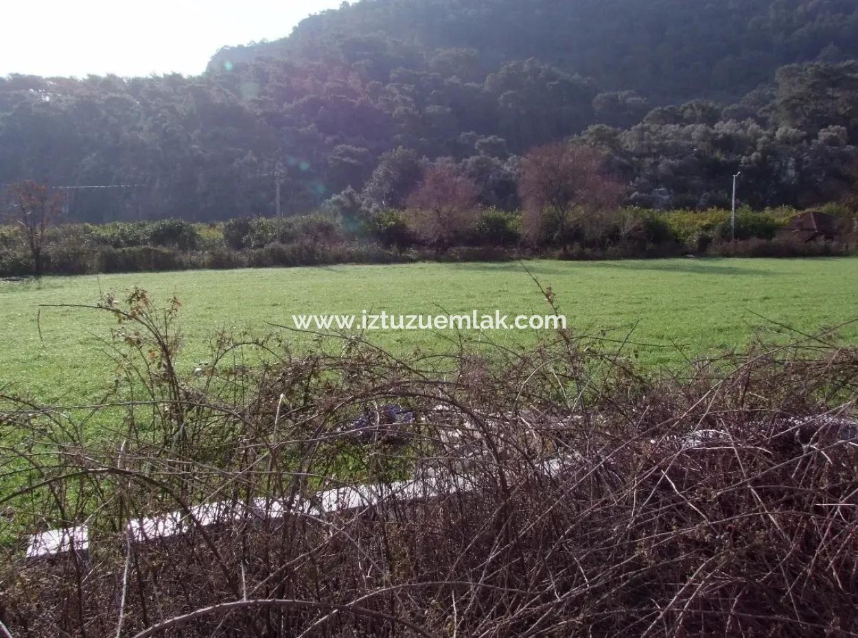 For Sale In Koycegiz, Dalyan Plot For Sale 10629M2