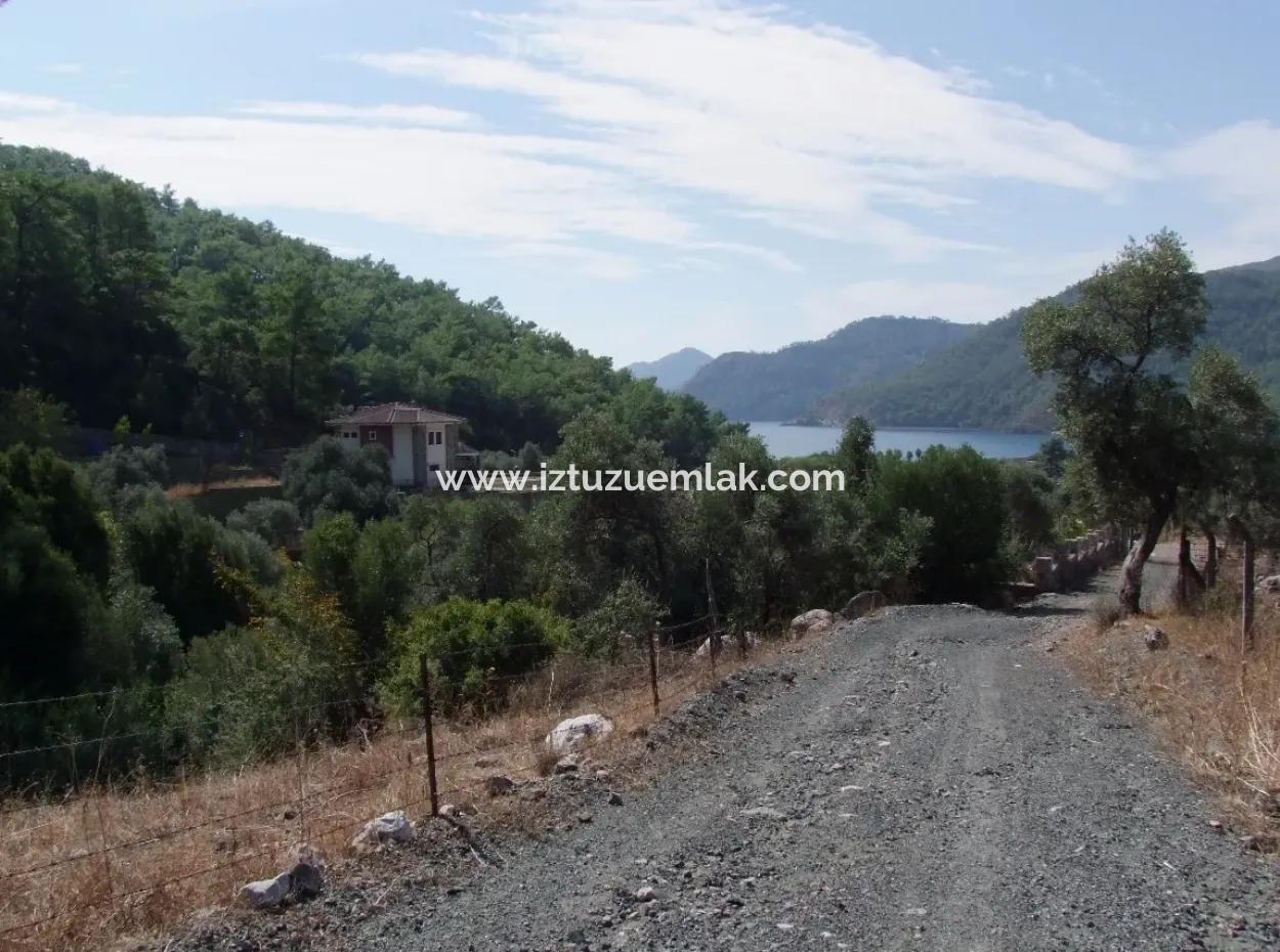 For Sale In Ekincik 5,391M2 Plot For Sale