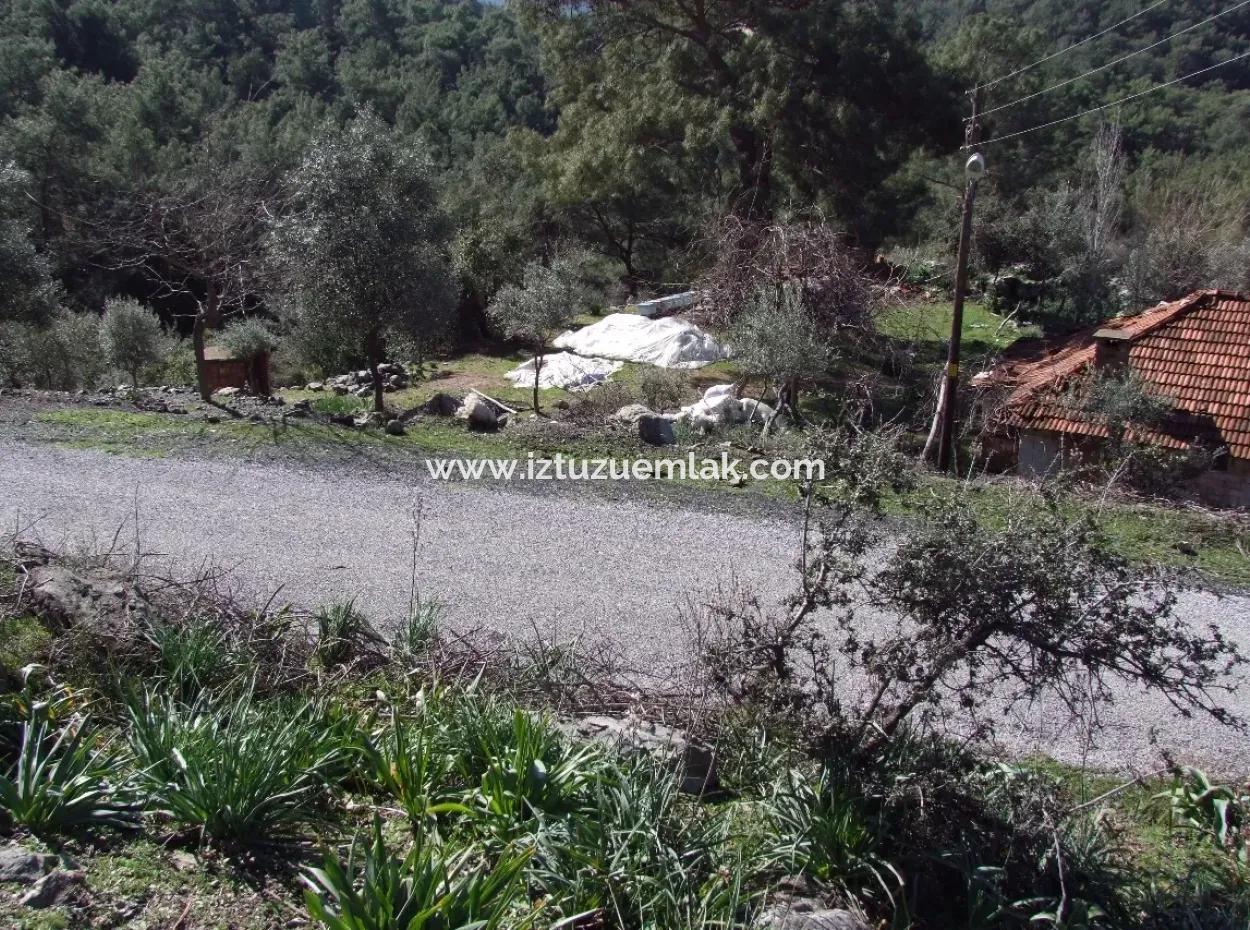 Land  For Sale With Sea View For Sale In Gokbel