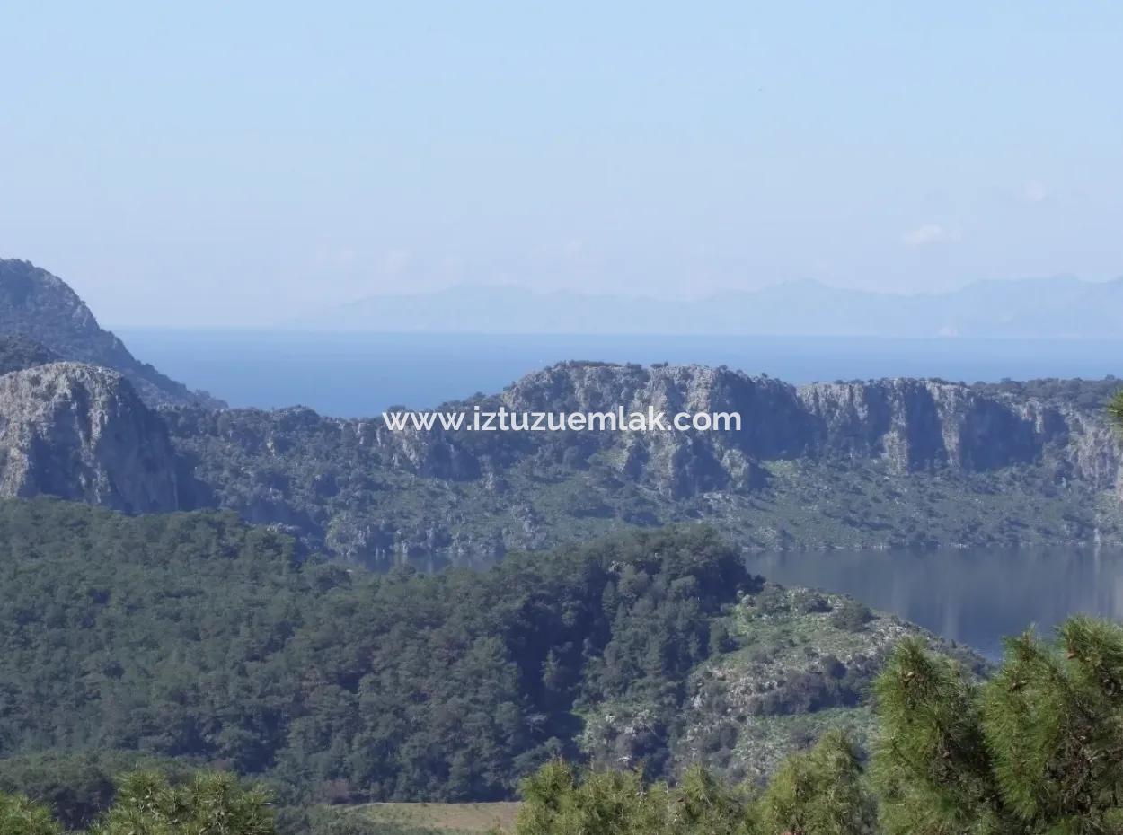 Land  For Sale With Sea View For Sale In Gokbel