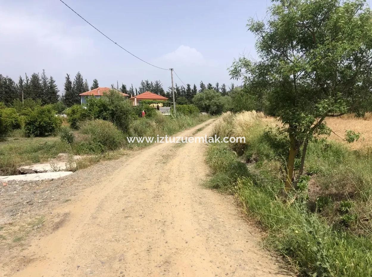 Farm Land For Sale 39 Acres In Eskikoy