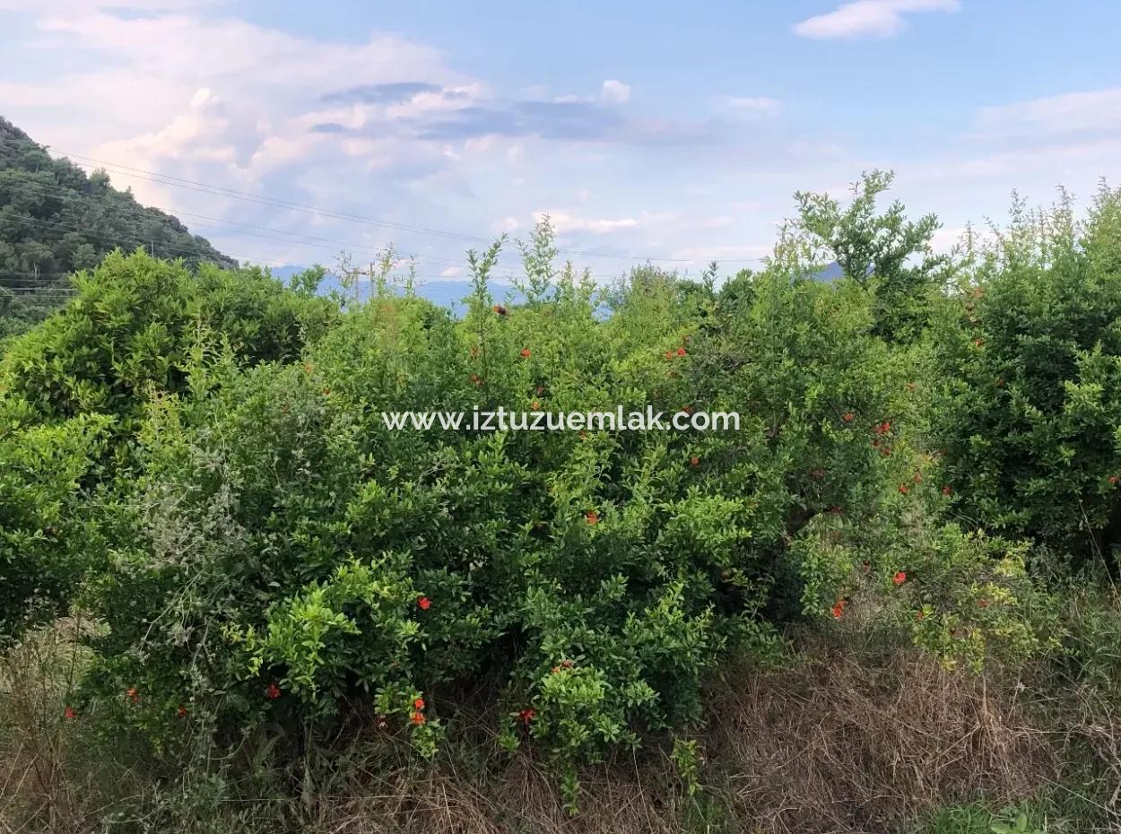 722M2 Plot For Sale In Dalyan Gülpınar For Sale