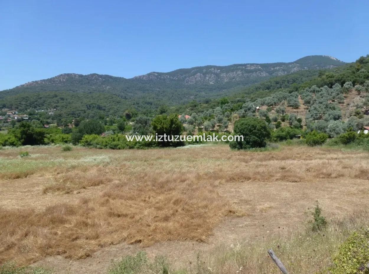 2300M2 Land For Sale Near The Center Of The Land For Sale