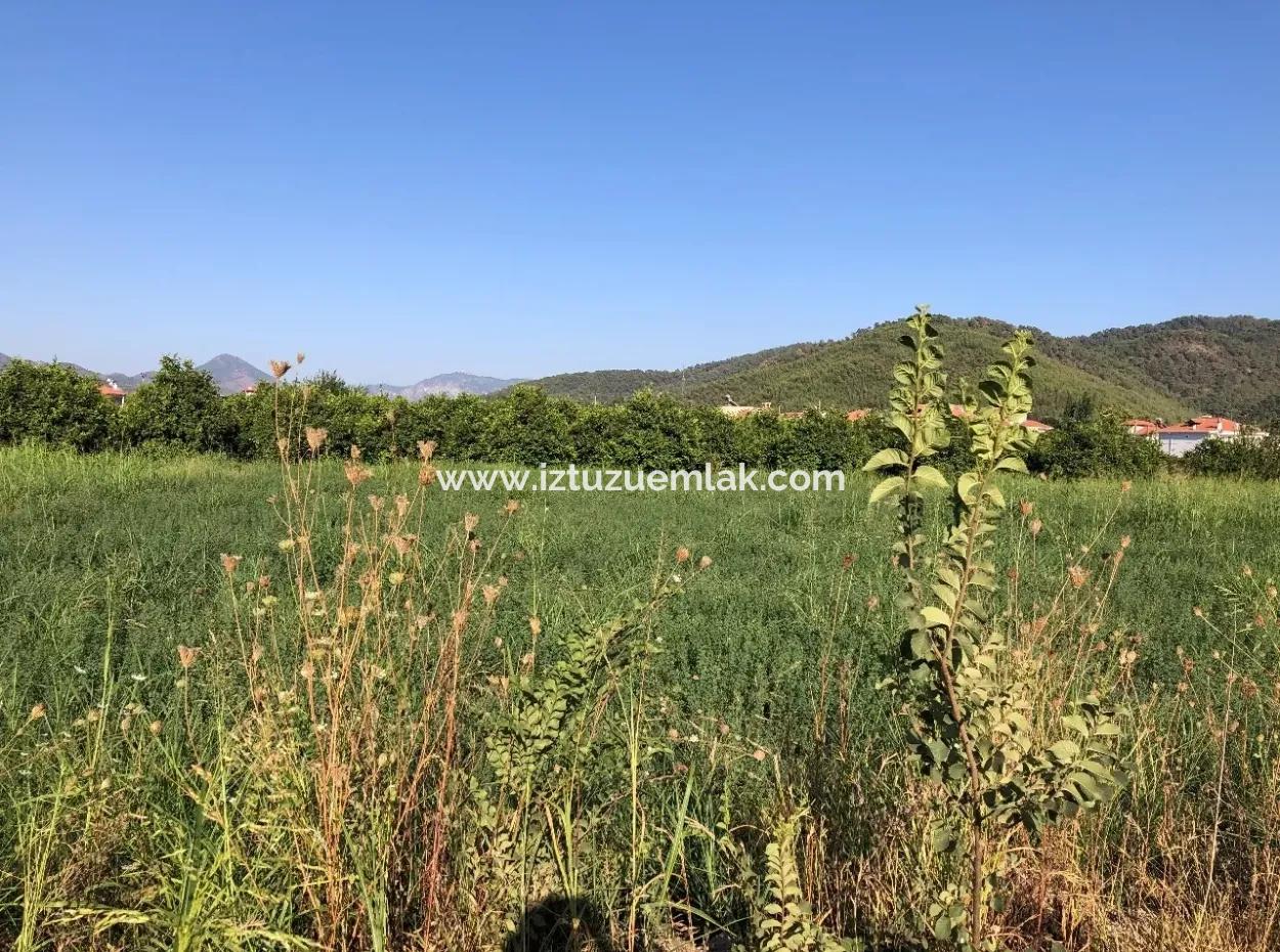 Land For Sale In The Center 891M2 Land For Sale